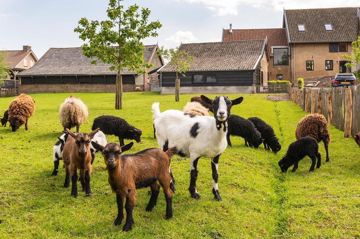 In De Polder Oud-Alblas